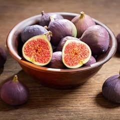 Zaylee garden purple for sale  Delivered anywhere in USA 