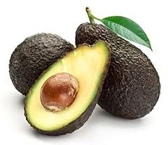 9eztropical hass avocado for sale  Delivered anywhere in USA 