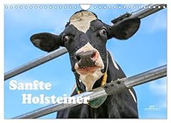 Sanfte holsteiner calvendo gebraucht kaufen  Wird an jeden Ort in Deutschland