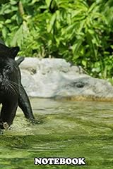 Notebook black panther d'occasion  Livré partout en France