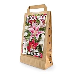 Mega pack oriental for sale  Delivered anywhere in UK