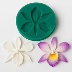 Graziano stampino silicone usato  Spedito ovunque in Italia 