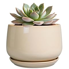 Epgardening ceramic pot for sale  Delivered anywhere in USA 