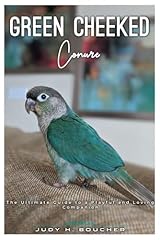 Green cheeked conure for sale  Delivered anywhere in UK