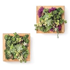 Supermoss 22312 sphagnum for sale  Delivered anywhere in USA 