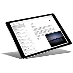 Apple ipad pro usato  Spedito ovunque in Italia 