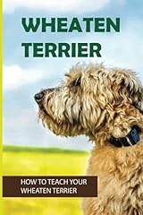 Wheaten terrier teach for sale  Delivered anywhere in UK