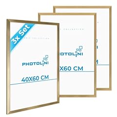 Photolini cornici 40x60 usato  Spedito ovunque in Italia 
