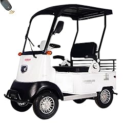 Haoweih electric golf for sale  Delivered anywhere in USA 
