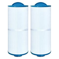 Chryseos spa filter for sale  Delivered anywhere in USA 