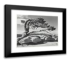 Artdirect ansel adams for sale  Delivered anywhere in USA 