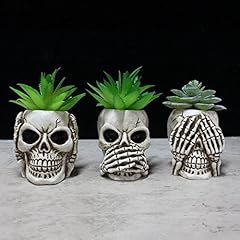 Simcat succulent pots for sale  Delivered anywhere in USA 