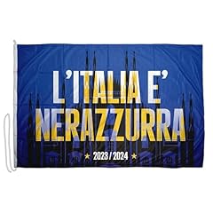 Domina pubblicità bandiera usato  Spedito ovunque in Italia 