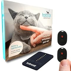Tabcat cat kitten for sale  Delivered anywhere in USA 