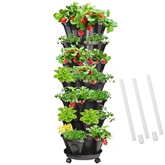 Tectsia strawberry vertical for sale  Delivered anywhere in USA 