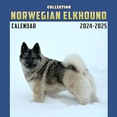 Norwegian elkhound collection for sale  Delivered anywhere in UK