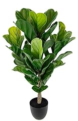 Figuier artificiel plante d'occasion  Livré partout en France