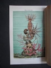 Grossflosser chromolithografie gebraucht kaufen  Wird an jeden Ort in Deutschland