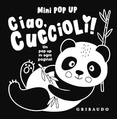 Ciao cuccioli mini usato  Spedito ovunque in Italia 