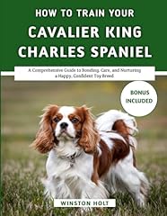 Train cavalier king for sale  Delivered anywhere in USA 