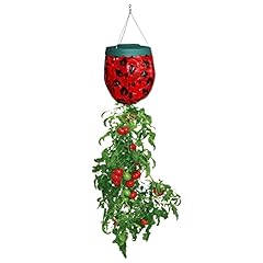 Simpa hanging tomato for sale  Delivered anywhere in UK