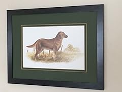 Framed mounted pointer for sale  Delivered anywhere in UK