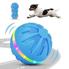 Pettom jouet interactif d'occasion  Livré partout en Belgiqu