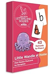 Big cat phonics usato  Spedito ovunque in Italia 