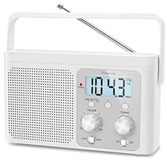 Dreamsky radio portable for sale  Delivered anywhere in USA 