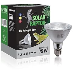 Solar raptor halogen gebraucht kaufen  Wird an jeden Ort in Deutschland