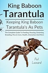 King baboon tarantula d'occasion  Livré partout en France