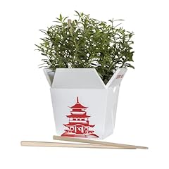 Plant pot indoor for sale  Delivered anywhere in USA 