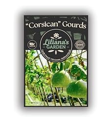 Corsican gourd seeds for sale  Delivered anywhere in USA 