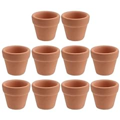 Yardwe 10pcs succulent for sale  Delivered anywhere in UK