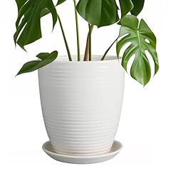 Epfamily inch ceramic for sale  Delivered anywhere in USA 