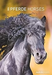 poulain haflinger d'occasion poulain haflinger d'occasion Livré partout en France
