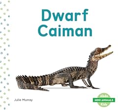 Dwarf caiman for sale  Delivered anywhere in USA 