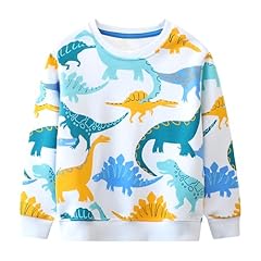 Baogaier jungen sweatshirts gebraucht kaufen  Wird an jeden Ort in Deutschland
