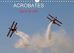 Acrobates dans ciel usato  Spedito ovunque in Italia 