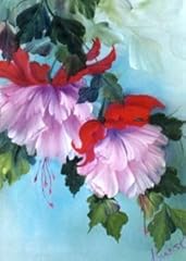 Painting packet fuchsias for sale  Delivered anywhere in USA 