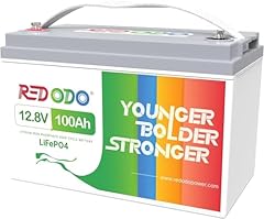 Redodo batteria 12v usato  Spedito ovunque in Italia 