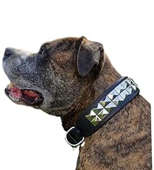 Hundehalsband titan lederhalsb gebraucht kaufen  Wird an jeden Ort in Deutschland