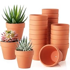 Pack inch terracotta for sale  Delivered anywhere in USA 