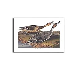 Poster canvas art for sale  Delivered anywhere in USA 