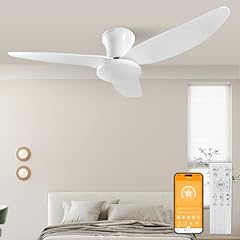 Ventilatore soffitto 60w usato  Spedito ovunque in Italia 