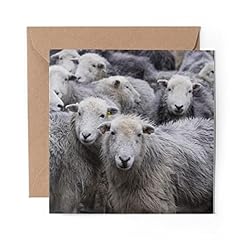 Greeting card flock for sale  Delivered anywhere in UK