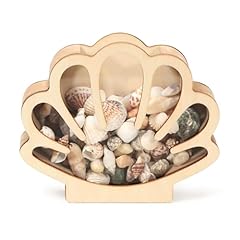 Xylolfsty seashell display for sale  Delivered anywhere in USA 