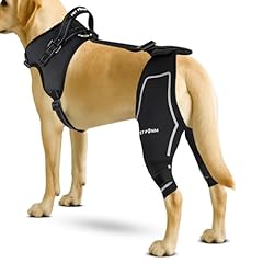 Petpanm comfortable dog for sale  Delivered anywhere in USA 