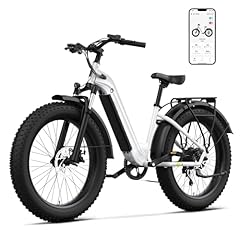 Sisigad electric bike for sale  Delivered anywhere in USA 