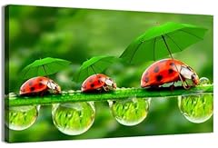 Ladybug nature photography for sale  Delivered anywhere in USA 